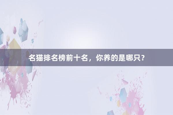 名猫排名榜前十名，你养的是哪只？