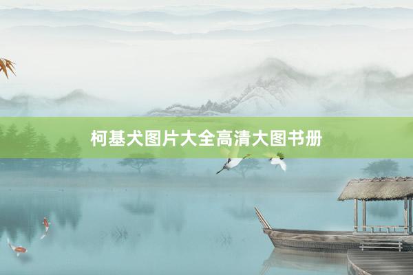 柯基犬图片大全高清大图书册