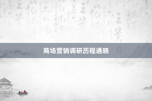 商场营销调研历程通晓